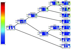 Graphical abstract: Evolution of domain promiscuity in eukaryotic genomes—a perspective from the inferred ancestral domain architectures