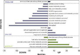 Graphical abstract: iTRAQ-based profiling of grape berry exocarp proteins during ripening using a parallel mass spectrometric method