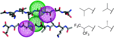 Graphical abstract: Clarifying the influence of core amino acid hydrophobicity, secondary structure propensity, and molecular volume on amyloid-β 16–22 self-assembly