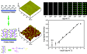 Graphical abstract: Photografted poly(methyl methacrylate)-based high performance protein microarray for hepatitis B virus biomarker detection in human serum