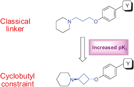 Graphical abstract: Histamine H3 receptor ligands with a 3-cyclobutoxy motif: a novel and versatile constraint of the classical 3-propoxy linker