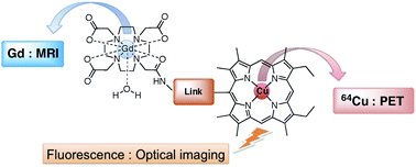 Graphical abstract: New potential bimodal imaging contrast agents based on DOTA-like and porphyrin macrocycles