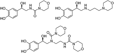 Graphical abstract: Beta-adrenergic receptor signaling by the isomers of isoproterenol and like drugs in retinal endothelial cells and Müller cells