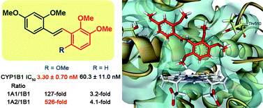 Graphical abstract: trans-Stilbenoids: potent and selective inhibitors for human cytochrome P450 1B1