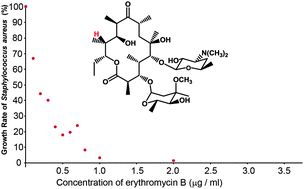 Graphical abstract: Erythromycin B: conformational analysis and antibacterial activity