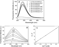 Graphical abstract: Metal ions binding to NAD-glycohydrolase from the venom of Agkistrodon acutus: Regulation of multicatalytic activity