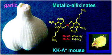 Graphical abstract: Metallo–allixinate complexes with anti-diabetic and anti-metabolic syndrome activities