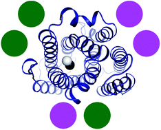 Graphical abstract: Metal use in ribonucleotide reductase R2, di-iron, di-manganese and heterodinuclear—an intricate bioinorganic workaround to use different metals for the same reaction