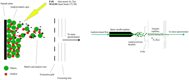 Graphical abstract: FAB, ESI and MALDI Mass Spectrometric methods in the study of metallo-drugs and their biomolecular interactions