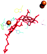 Graphical abstract: Circular dichroism spectra of cytochrome c oxidase