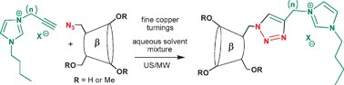 Graphical abstract: A new class of cationic cyclodextrins: synthesis and chemico-physical properties