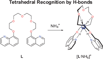 Graphical abstract: Surprisingly stable ammonium ion complex of a non-cyclic crown-type polyether: solid and solution studies