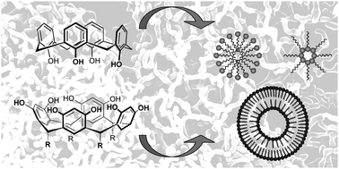 Graphical abstract: Self-assembly of amphiphilic calixarenes and resorcinarenes in water