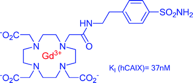 Graphical abstract: Carbonic anhydrase inhibitors: Gd(iii) complexes of DOTA- and TETA-sulfonamide conjugates targeting the tumor associated carbonic anhydrase isozymes IX and XII