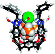 Graphical abstract: Specific tetramethylammonium recognition drives general anion positioning in tandem sites of a deep cavitand