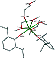 Graphical abstract: Synthesis and structural characterisation of the heavier alkaline earth 2,6-di-iso-propylphenolate complexes