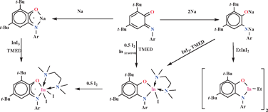 Graphical abstract: Indium(iii) complexes with o-iminobenzoquinone in different redox states