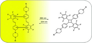 Graphical abstract: Novel fluorinated amino-stilbenes and their solid-state photodimerization