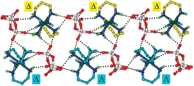 Graphical abstract: Homochiral column structure of rac- and Λ-[MIII(tn)3]P3O9 (M = Co, Cr; tn = 1,3-diaminopropane; P3O9 = cyclotriphosphate(3−)) produced by multiple hydrogen bonds