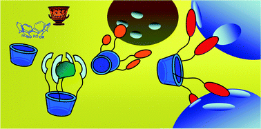 Graphical abstract: Calixarenes: from biomimetic receptors to multivalent ligands for biomolecular recognition