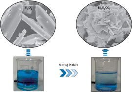 Graphical abstract: Uncovering the structural stabilities of the functional bismuth containing oxides: a case study of α-Bi2O3 nanoparticles in aqueous solutions