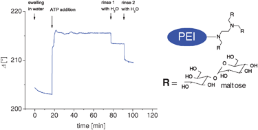 Graphical abstract: pH-stable hyperbranched poly(ethyleneimine)-maltose films for the interaction with phosphate containing drugs