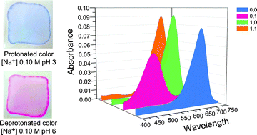 Graphical abstract: Logic gates from ion-selective bulk optodes