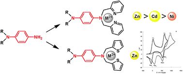 Graphical abstract: Electrochemically active phenylenediamine probes for transition metal cation detection