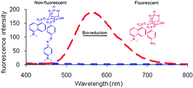 Graphical abstract: Bioreductive molecular probe: fluorescence signalling upon reduction of an azo group