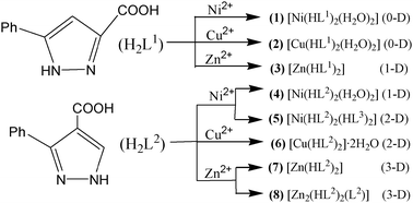 Graphical abstract: Structural diversity and properties of M(ii) phenyl substituted pyrazole carboxylate complexes with 0D-, 1D-, 2D- and 3D frameworks