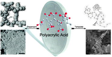 Graphical abstract: A versatile sol–gel route to monolithic oxidic gels via polyacrylic acid template