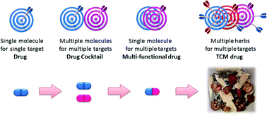 Graphical abstract: Anti-influenza agents from Traditional Chinese Medicine