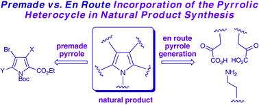 Graphical abstract: Synthesis of natural products containing the pyrrolic ring