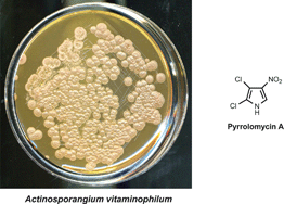 Graphical abstract: Naturally-occurring nitro compounds