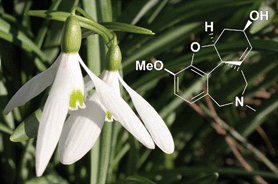 Graphical abstract: Natural products as a source of Alzheimer's drug leads