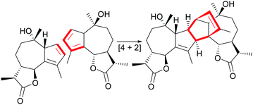 Graphical abstract: Natural disesquiterpenoids