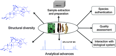 Graphical abstract: Isolation and analysis of ginseng: advances and challenges