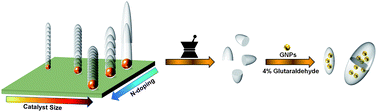 Graphical abstract: Controlling the volumetric parameters of nitrogen-doped carbon nanotube cups