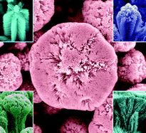 Graphical abstract: Complex ZnO nanotree arrays with tunable top, stem and branch structures