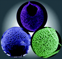 Graphical abstract: One-step fabrication of porous polymeric microcage via electrified jetting