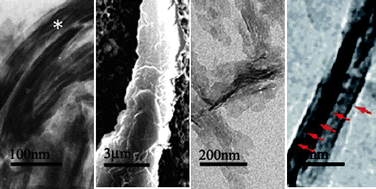 Graphical abstract: Effect of proteins on the synthesis and assembly of calcium phosphate nanomaterials