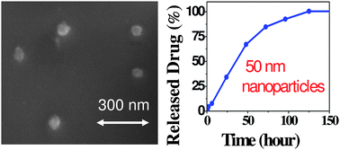 Graphical abstract: Water soluble nanoporous nanoparticle for in vivo targeted drug delivery and controlled release in B cells tumor context