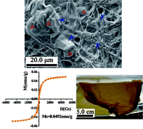 Graphical abstract: Paramagnetic nanofibrous composite films enhance the osteogenic responses of pre-osteoblast cells