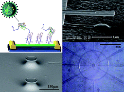 Graphical abstract: Label-free biological and chemical sensors