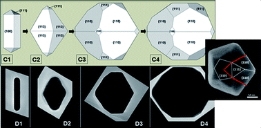 Graphical abstract: Growth of pentatwinned gold nanorods into truncated decahedra