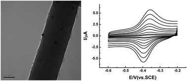 Graphical abstract: A silicon nanowire-based electrochemical glucose biosensor with high electrocatalytic activity and sensitivity