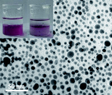 Graphical abstract: Interfacial entrapment of noble metal nanoparticles and nanorods capped with amphiphilic multiblock copolymer at a selective liquid–liquid interface