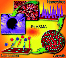 Graphical abstract: From nucleation to nanowires: a single-step process in reactive plasmas