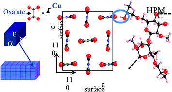 Graphical abstract: Control of morphology and nanostructure of copper and cobalt oxalates: Effect of complexing ions, polymeric additives and molecular weight