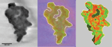 Graphical abstract: Analytical electron tomography mapping of the SiC pore oxidation at the nanoscale